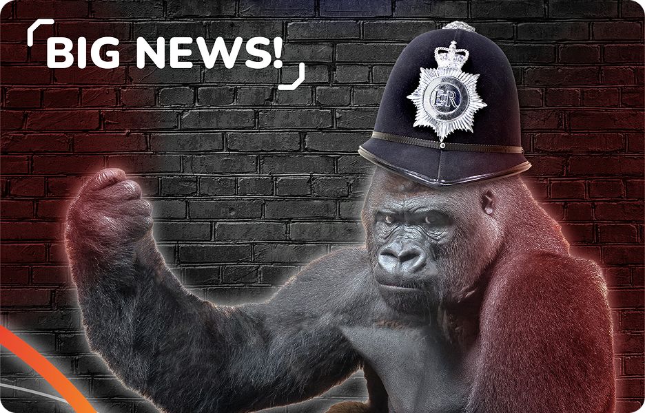 Social Gorilla