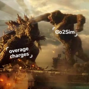 go2sim beats overage charges