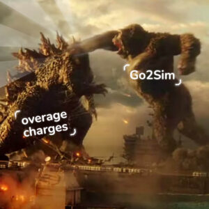 go2sim beats overage charges